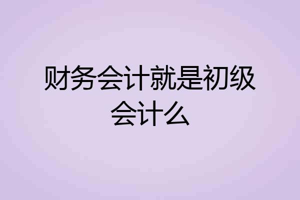 财务会计就是初级会计么