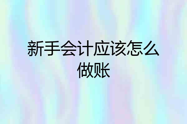 新手会计应该怎么做账