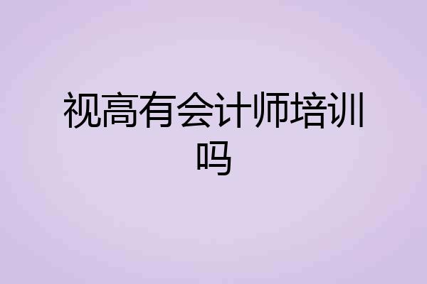 视高有会计师培训吗