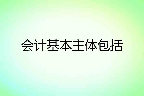 会计基本主体包括