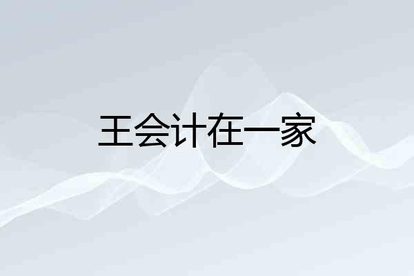王会计在一家