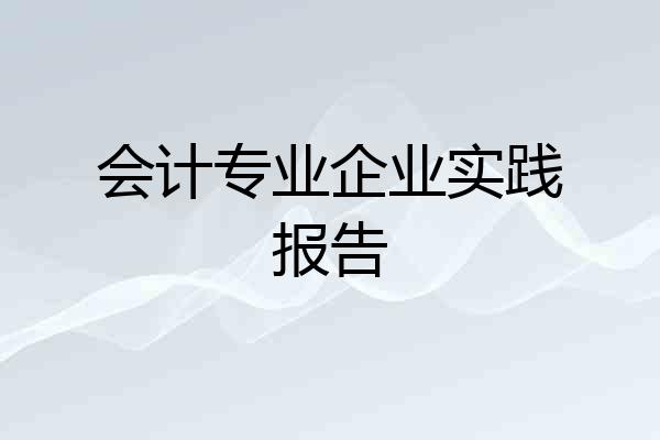 会计专业企业实践报告