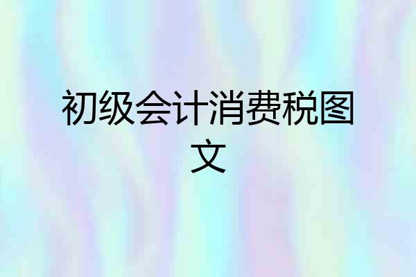 初级会计消费税图文