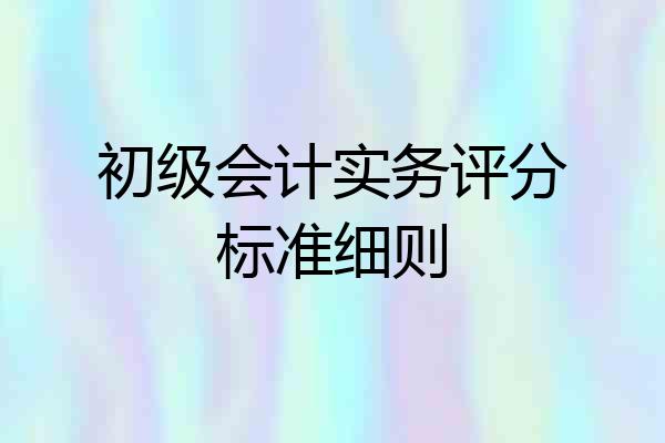初级会计实务评分标准细则