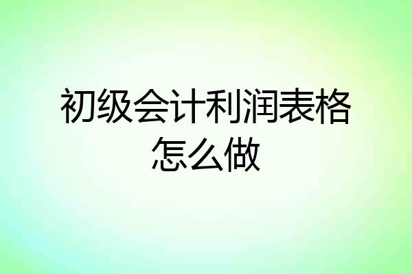 初级会计利润表格怎么做
