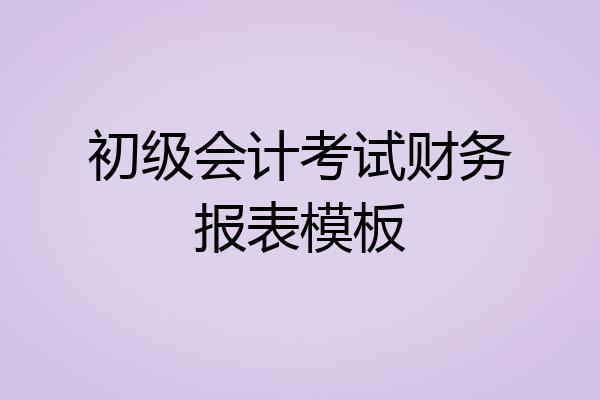 初级会计考试财务报表模板