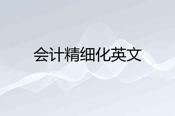 会计精细化英文