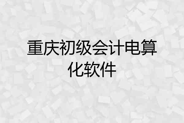 重庆初级会计电算化软件