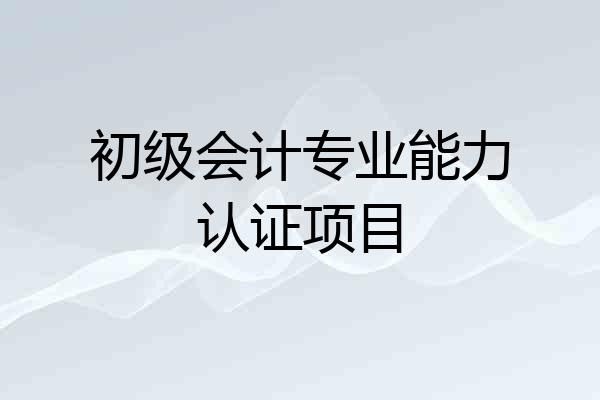 初级会计专业能力认证项目