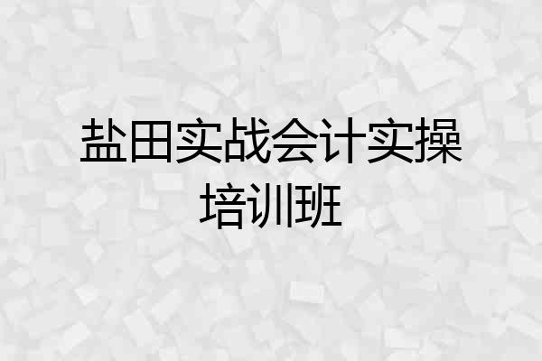 盐田实战会计实操培训班