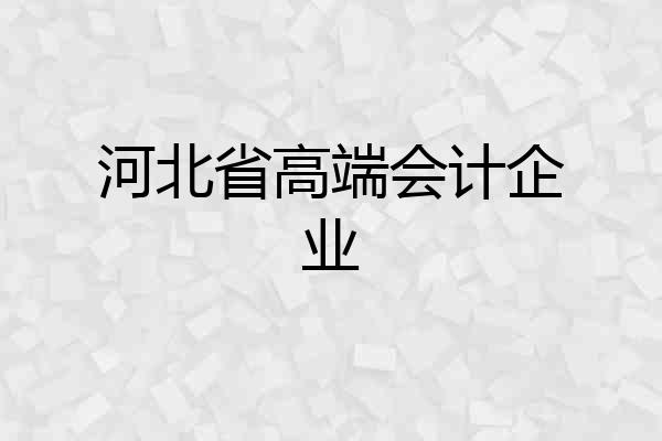 河北省高端会计企业