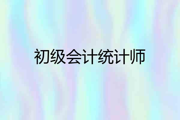 初级会计统计师