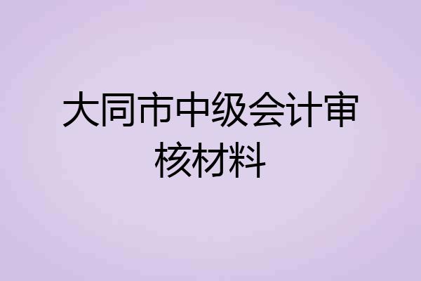 大同市中级会计审核材料
