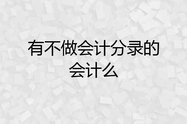 有不做会计分录的会计么
