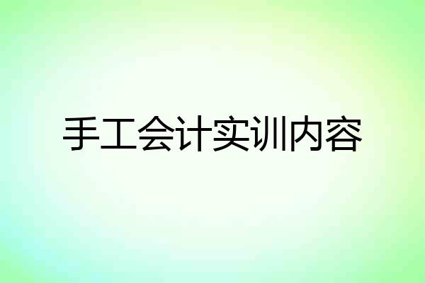 手工会计实训内容