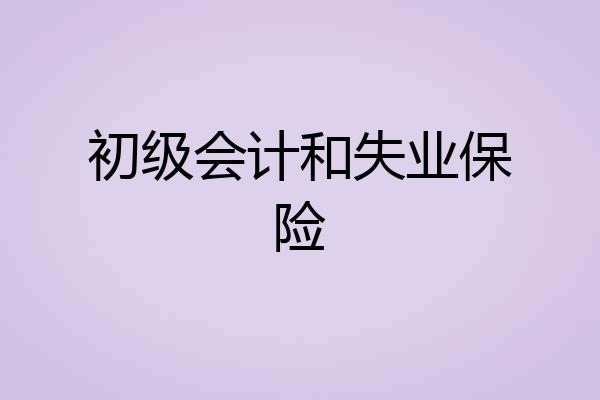 初级会计和失业保险