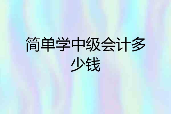 简单学中级会计多少钱