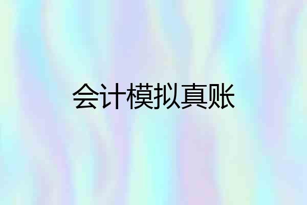 会计模拟真账