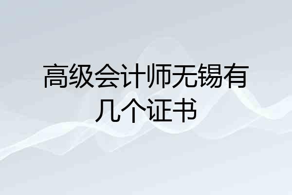 高级会计师无锡有几个证书