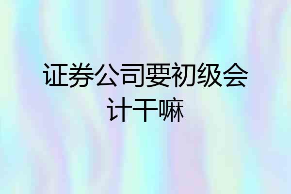 证券公司要初级会计干嘛