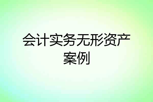 会计实务无形资产案例