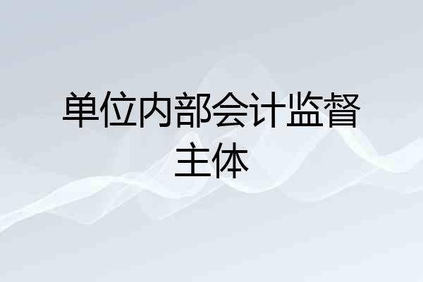 单位内部会计监督主体