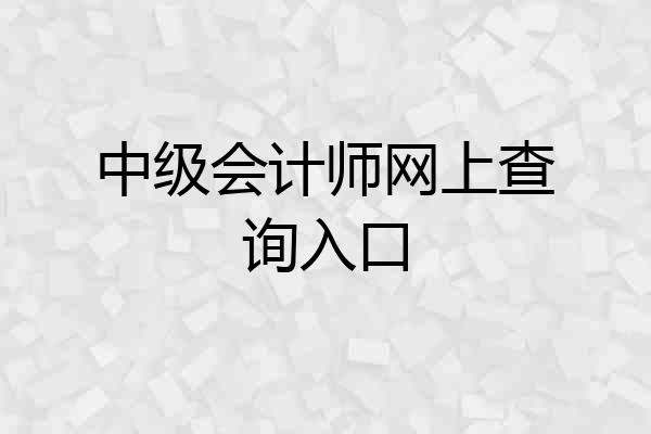 中级会计师网上查询入口