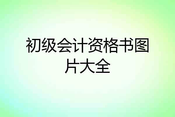 初级会计资格书图片大全
