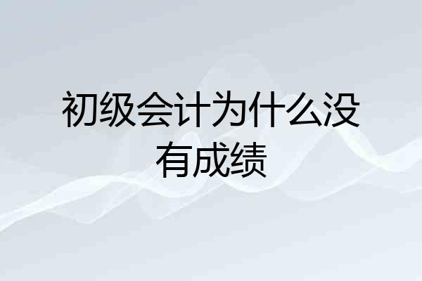 初级会计为什么没有成绩