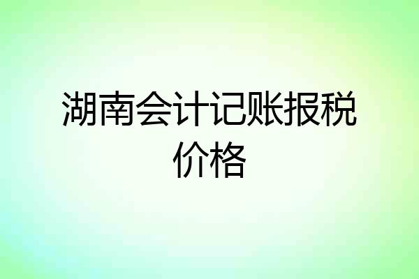 湖南会计记账报税价格