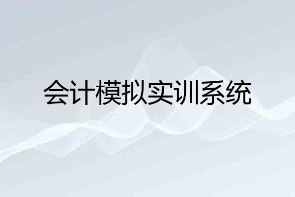 会计模拟实训系统