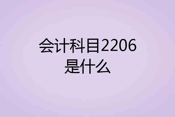 会计科目2206是什么