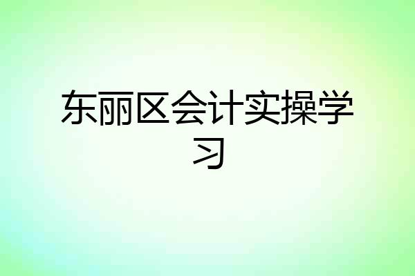 东丽区会计实操学习