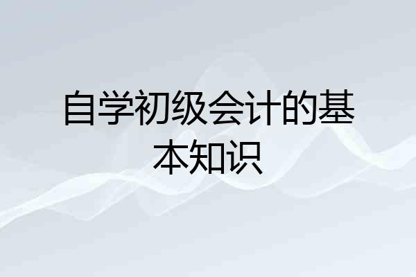 自学初级会计的基本知识