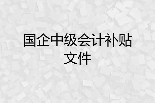 国企中级会计补贴文件