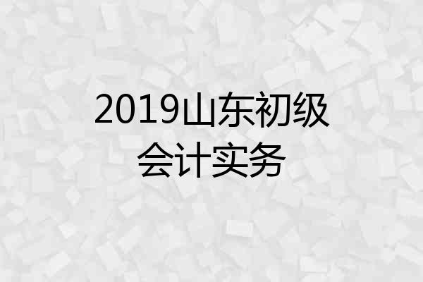 2019山东初级会计实务