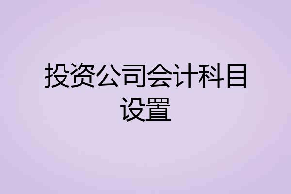 投资公司会计科目设置