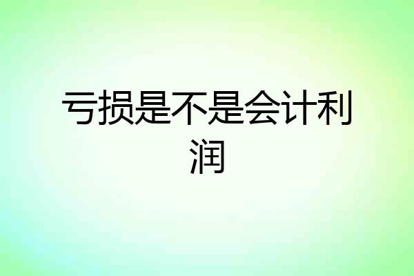 亏损是不是会计利润