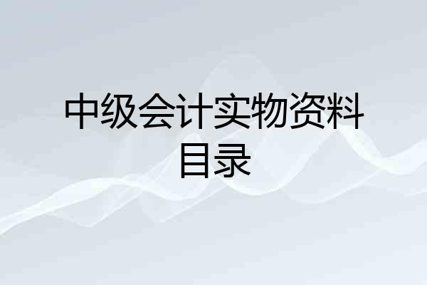 中级会计实物资料目录