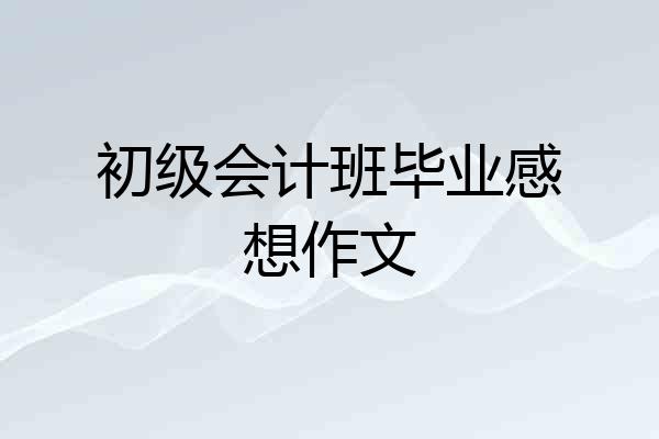初级会计班毕业感想作文