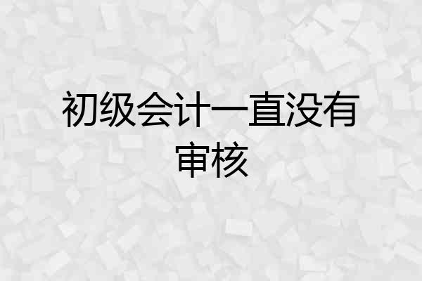 初级会计一直没有审核
