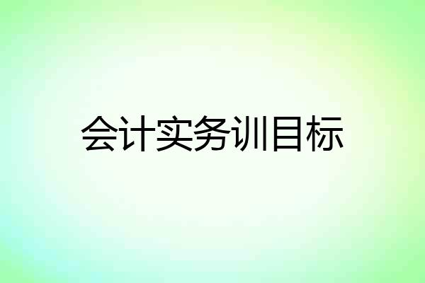 会计实务训目标