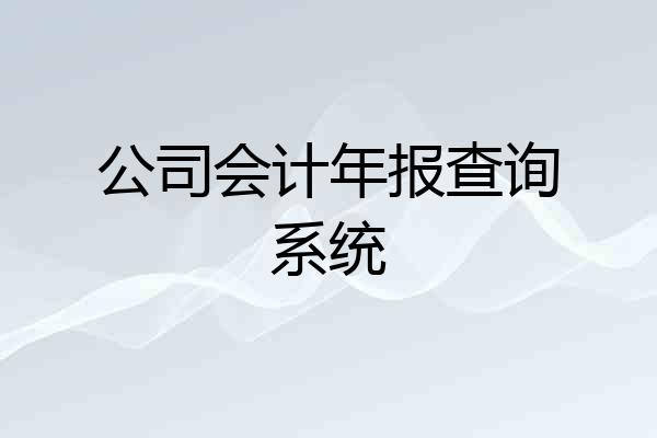 公司会计年报查询系统
