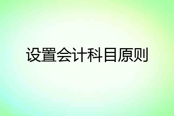 设置会计科目原则