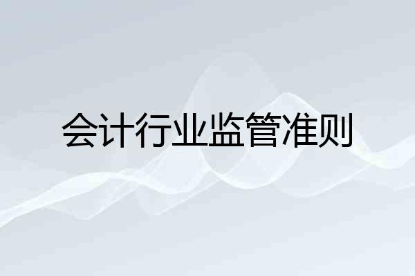 会计行业监管准则