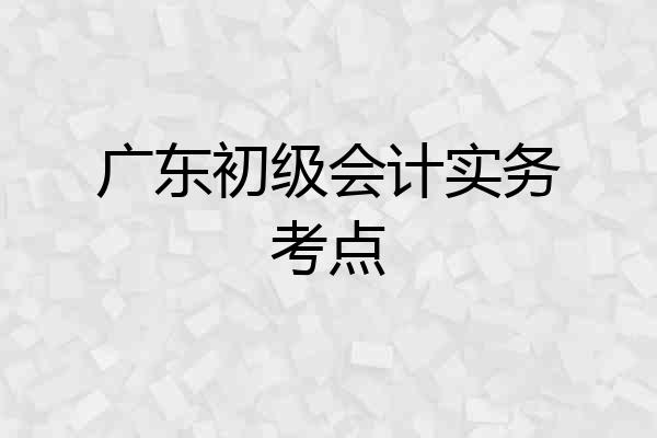 广东初级会计实务考点