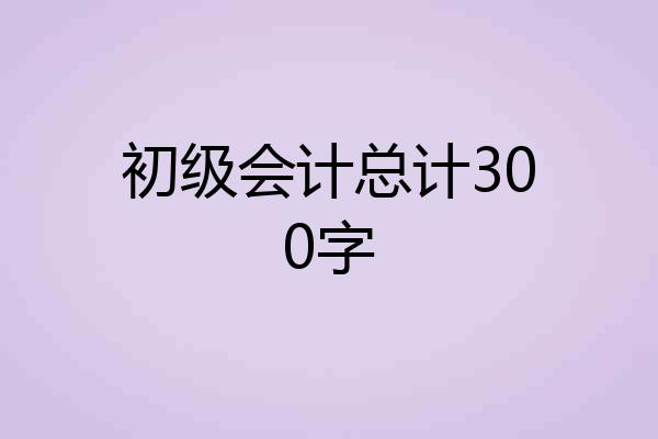 初级会计总计300字