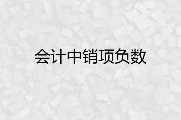 会计中销项负数