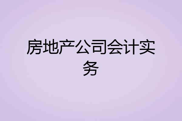 房地产公司会计实务