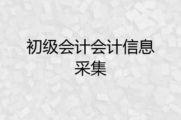 初级会计会计信息采集